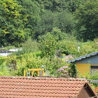 freie gaerten sommer